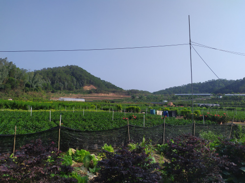 論深圳農(nóng)家樂(lè)九龍莊園的發(fā)展前景